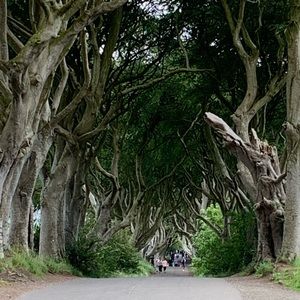 Meet your Posher, Brittini